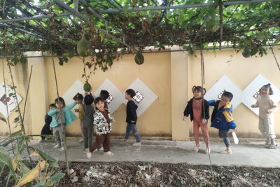 Một số hình ảnh trẻ và cô cùng trải nghiệm làm vườn trồng rau