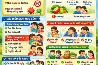 THÔNG TIN TUYÊN TRUYỀN VỀ BỆNH DO VI RÚT NIPAH